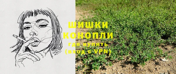 крисы Арсеньев